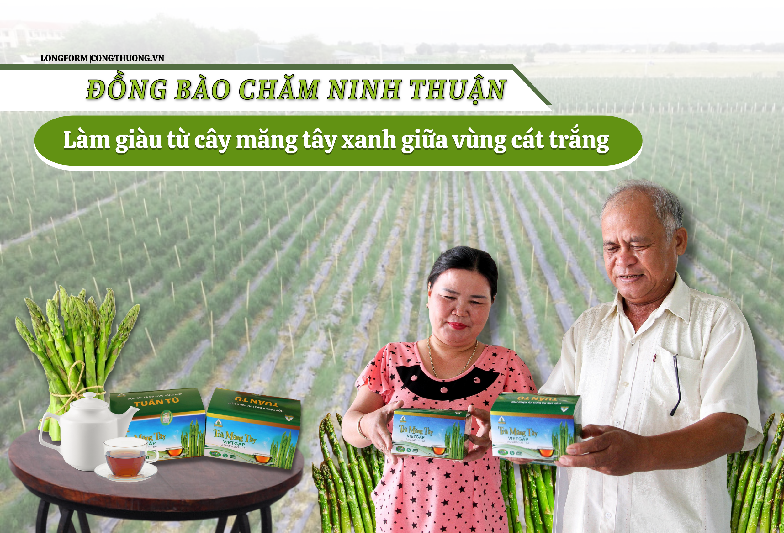 Longform | Đồng bào Chăm Ninh Thuận: Làm giàu từ cây măng tây xanh giữa vùng cát trắng