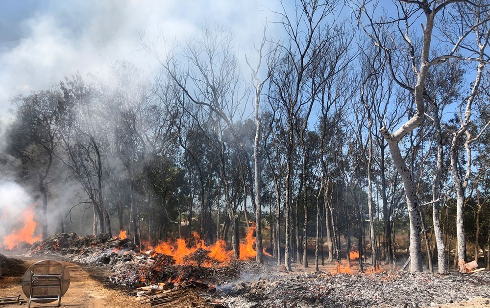 Hiện trường vụ cháy khiến nhiều diện tích cây trồng bị thiêu rụi.