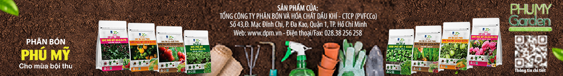 tong-cong-ty-phan-bon-va-hoa-chat-dau-khi-dam-phu-my