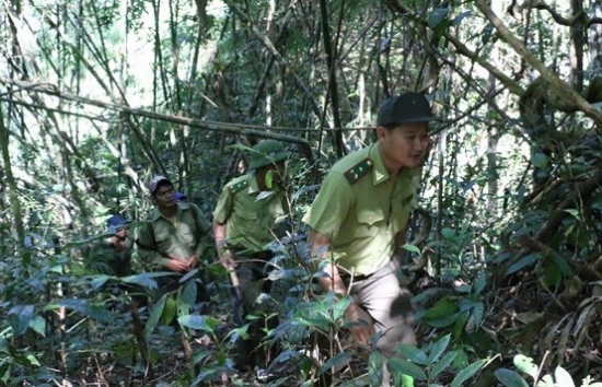 Những người thầm lặng giải cứu thú rừng trên “nóc nhà” Đắk Nông