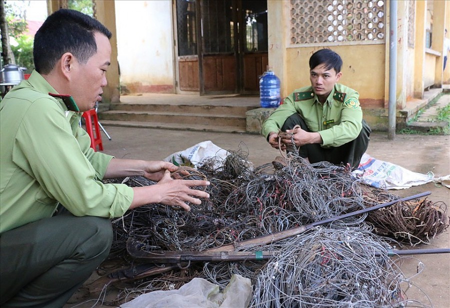 Từ năm 2018 đến nay, cán bộ kiểm lâm đã tháo gỡ hơn 5.000 chiếc bẫy thú nằm trong Vườn quốc gia Tà Đùng