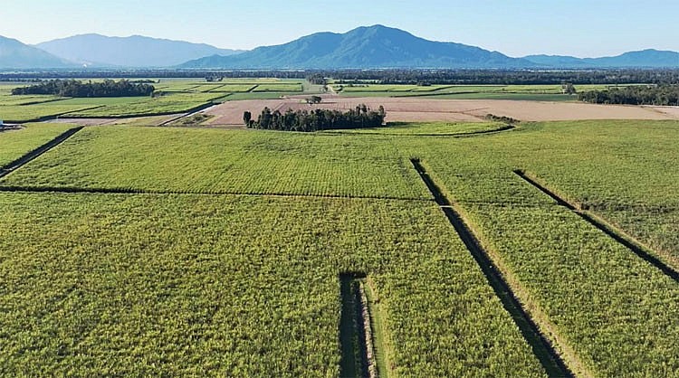 SBT và Queensland hợp tác toàn diện trong phát triển nông nghiệp hiện đại bền vững