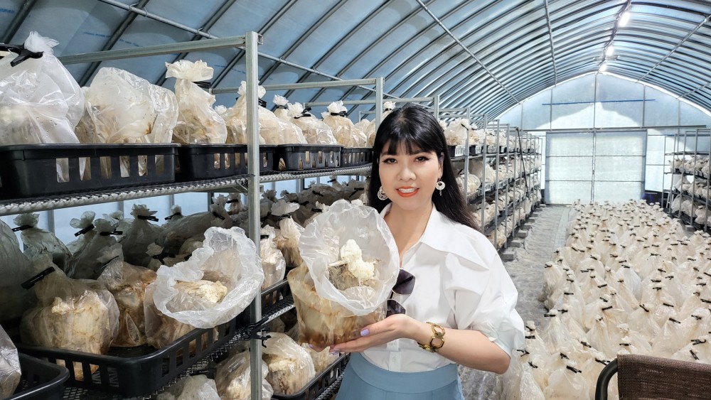 Chị Lã Thị Quỳnh Thoan bên trang trại sản xuất nấm súp lơ