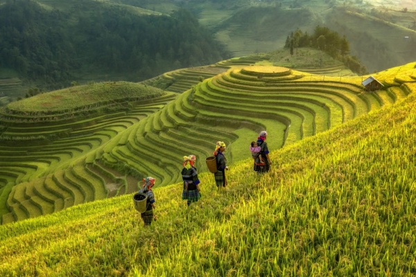 Bộ Văn hoá, Thể thao và Du lịch