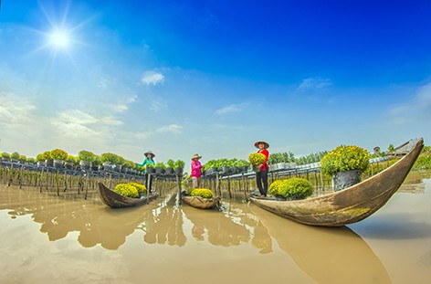 Tin tức mới nhất về kinh tế - xã hội Đồng bằng sông Cửu Long trên Báo Công Thương điện tử