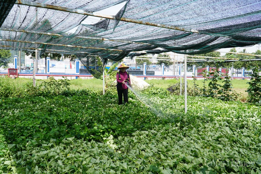 Công nghiệp Đà Nẵng hướng tới kinh tế tuần hoàn (Bài 3): Người lao động đóng vai trò chủ đạo, hình thành khu công nghiệp sinh thái