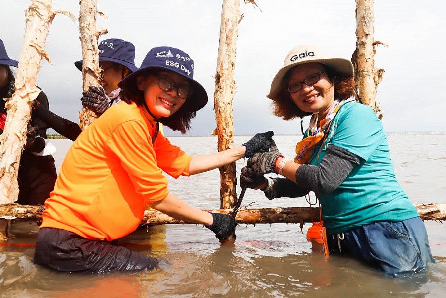 BAT Việt Nam hợp tác với Gaia trồng rừng tại Việt Nam