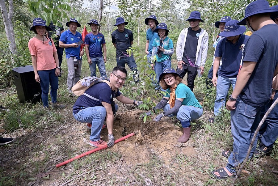 BAT Việt Nam hợp tác với Gaia trồng rừng tại Việt Nam