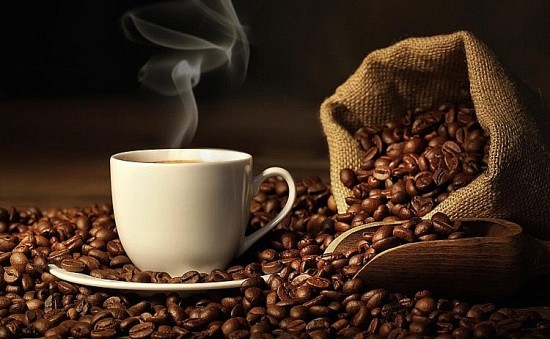 Giá cà phê hôm nay, 19/1: Giá cà phê trong nước tiếp tục giảm