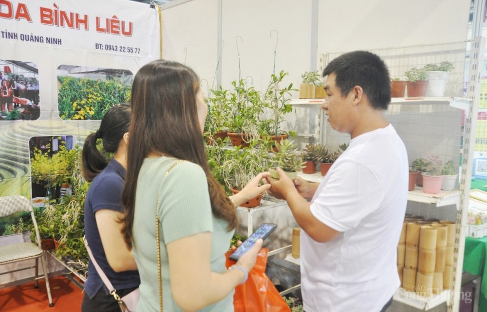 Hội chợ OCOP Quảng Ninh – Xuân 2023 sẽ có trên 200 gian hàng