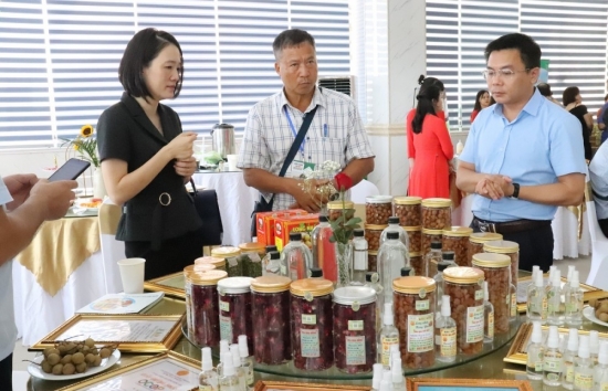Quảng Ninh tổ chức kết nối tiêu thụ sản phẩm OCOP
