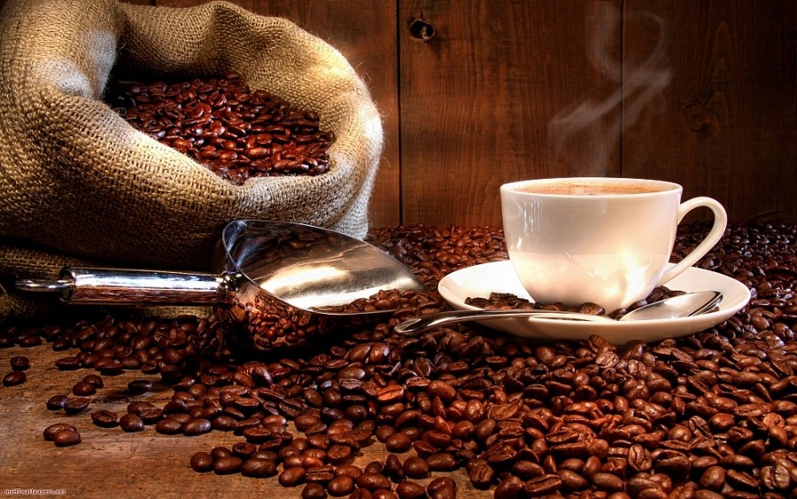 Giá cà phê hôm nay 3/9: Giá cà phê trong nước giảm thêm 300 đồng/kg