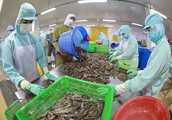 Kim ngạch xuất khẩu tôm và cá tra tăng trưởng trái chiều