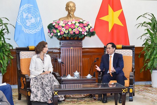 Bộ trưởng Bộ Ngoại giao Bùi Thanh Sơn đón, tiếp Tổng Giám đốc UNESCO