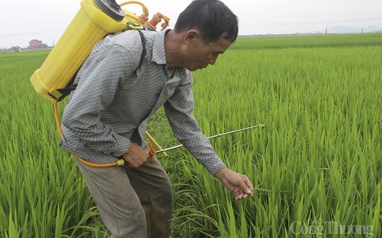 Nghệ An: Thiếu hơn 35.794 bể chứa bao bì, vỏ chai thuốc bảo vệ thực vật