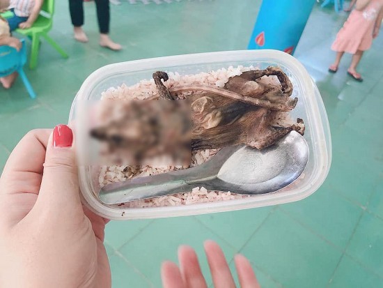 Thông tin hộp cơm thịt chuột của học sinh huyện Nam Giang là sai sự thật