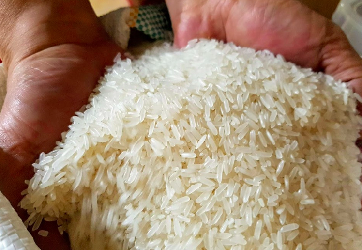 Ấn Độ siết xuất khẩu gạo làm thị trường gạo châu Á tê liệt