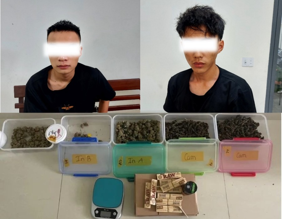 Đà Nẵng: Hai sinh viên “khởi nghiệp làm giàu” bằng cách buôn… ma túy loại cần sa