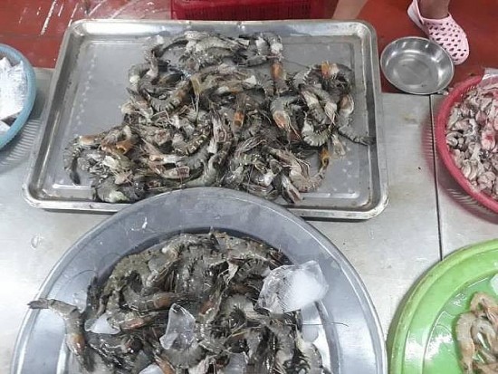 Vụ tôm chứa tạp chất lạ tại Đà Nẵng: Xác định là bột Agar