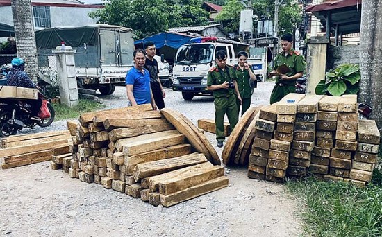 Khởi tố đối tượng vận chuyển gỗ lậu tại Yên Bái