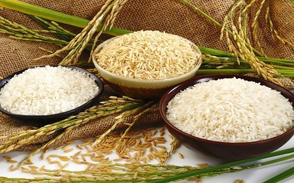 Giá lúa gạo hôm nay 9/10 và tổng kết tuần qua: Gạo nội địa ổn định, xuất khẩu tăng 5 USD/tấn