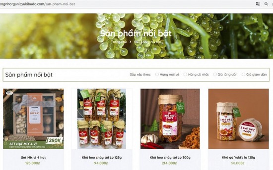 Quản lý thị trường Nghệ An xử phạt 1 website thương mại điện tử