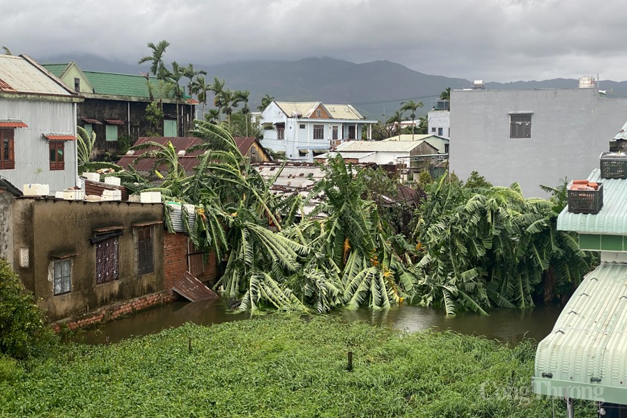 Quảng Nam: Những thiệt hại ban đầu sau khi bão số 4 đổ bộ