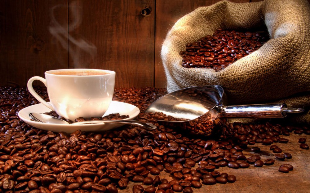 Giá cà phê hôm nay 15/10: Giá cà phê trong nước tiếp tục giảm mạnh