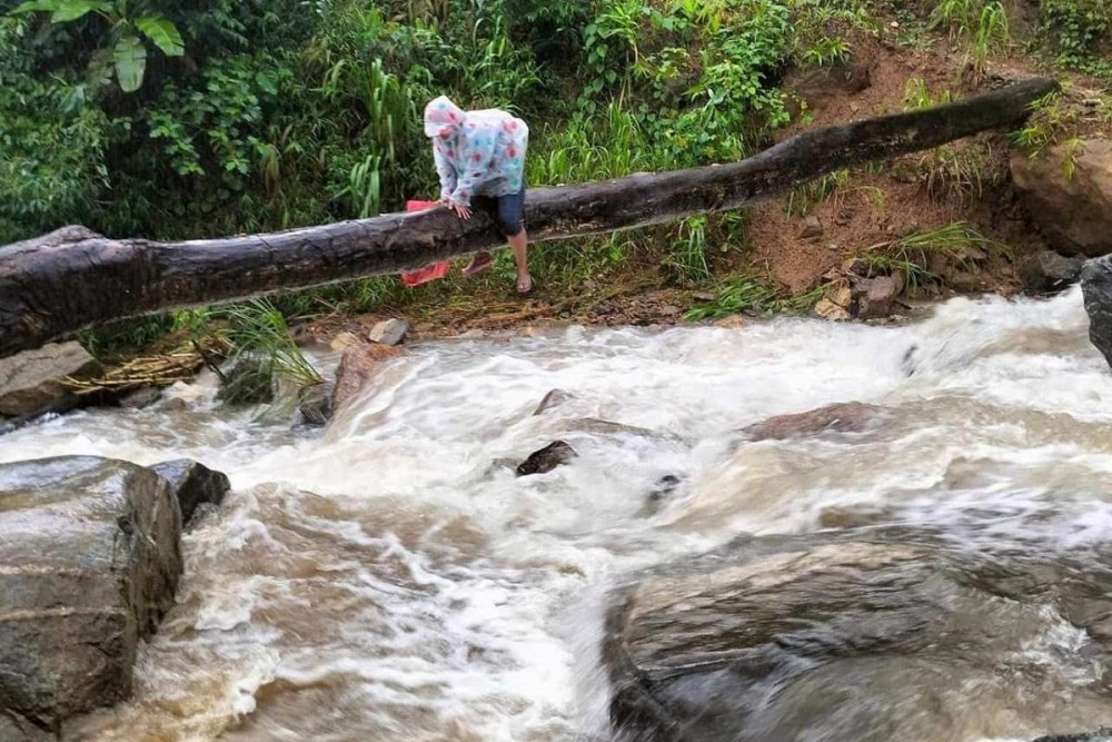 Con đường tới trường của cô giáo ôm thân cây vượt suối dữ ở Quảng Nam