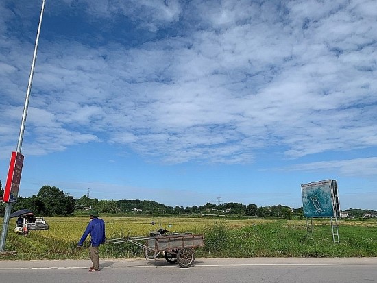 Tân Yên (Bắc Giang): Khu dân cư Tân Sơn chưa đủ điều kiện bán, “cò đất” đã "dụ dỗ" khách mua