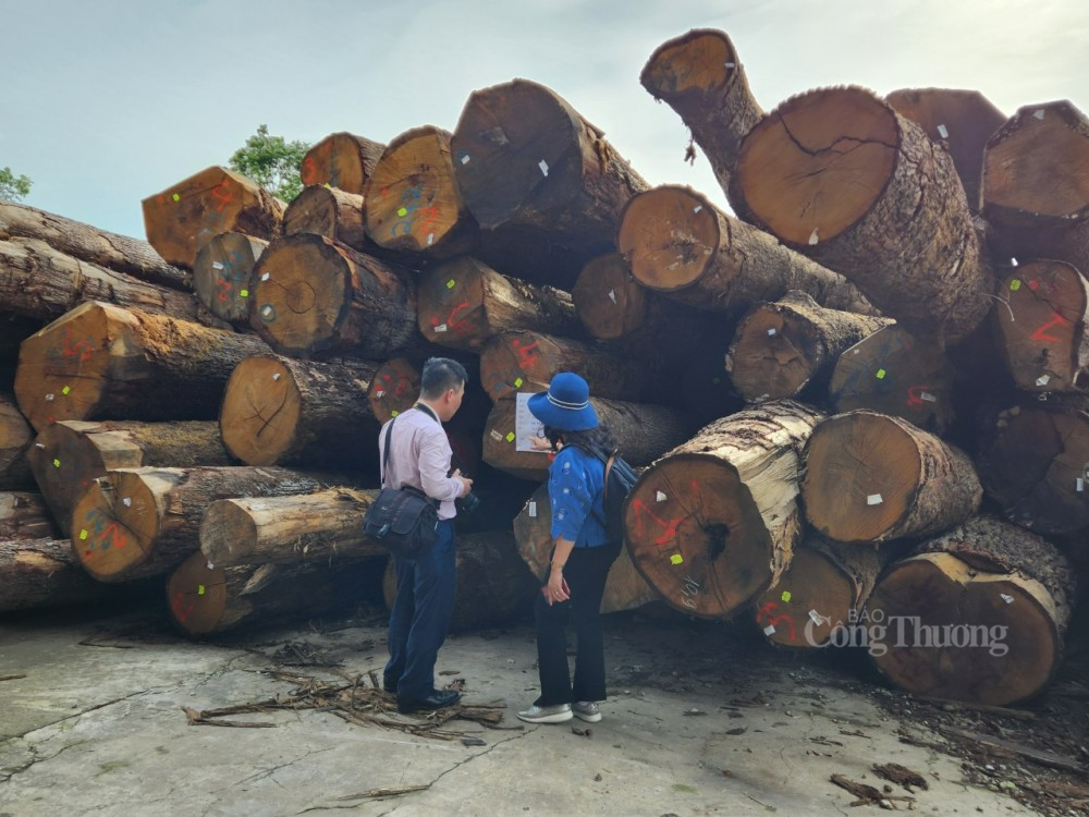 Đảm bảo gỗ hợp pháp theo Hiệp định VPA/FLEGT: Lợi ích cho nhiều bên, sao chậm triển khai?
