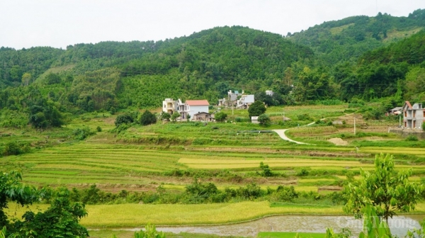 huyện Bình Liêu