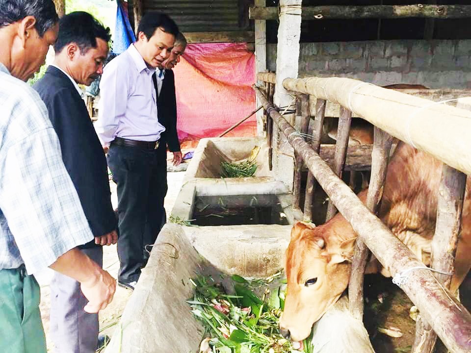Thừa Thiên Huế: Hỗ trợ vốn vay để phát triển thương hiệu “Thịt bò A Lưới”