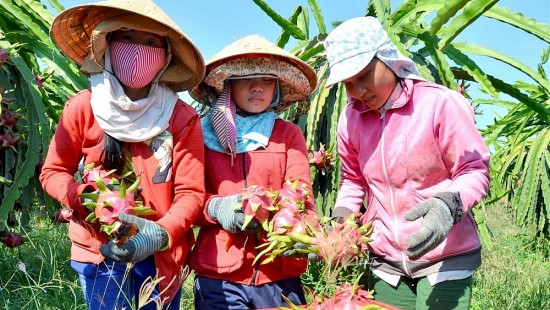 Thúc đẩy tăng trưởng thương mại hai chiều Việt Nam – Trung Quốc