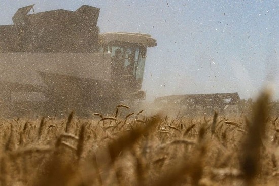 Nga bị cáo buộc “vũ khí hóa lương thực” khi ngăn chặn thỏa thuận xuất khẩu ngũ cốc