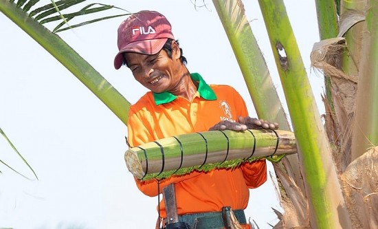 Đòn bẩy để đặc sản miền núi, vùng sâu, vùng xa, hải đảo vươn xa