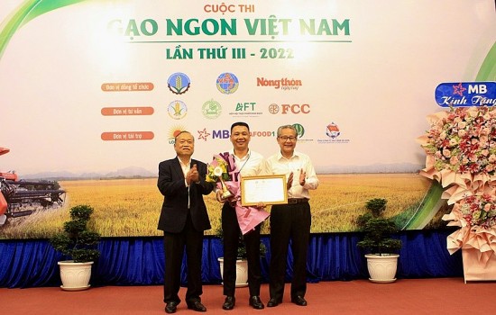 Gạo TBR39 giành giải Nhất cuộc thi Gạo ngon Việt Nam lần thứ III