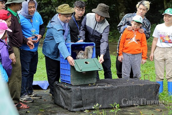 Vườn Quốc gia Cúc Phương tái thả hàng nghìn động vật hoang dã, quý hiếm