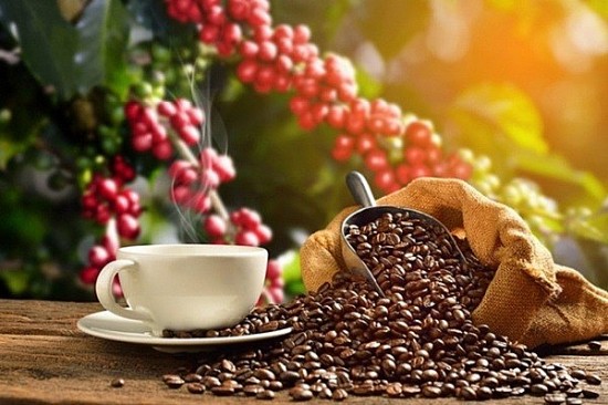 Tuần lễ cà phê quốc tế tại Bra-xin năm 2022 diễn ra từ 16 - 18/11/2022