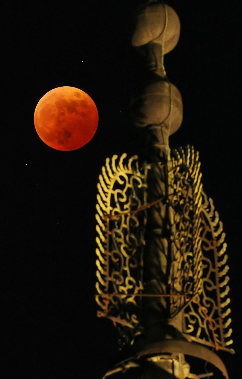 Chiêm ngưỡng vẻ đẹp kỳ thú của "trăng máu hải ly"