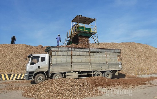 Bài 3: Sớm gỡ vướng hoàn thuế VAT cho doanh nghiệp ngành dăm gỗ