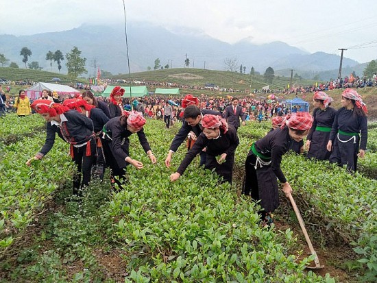 Nghị quyết 10 của Tỉnh ủy Lào Cai: Đòn bẩy để nông nghiệp Bảo Thắng phát triển