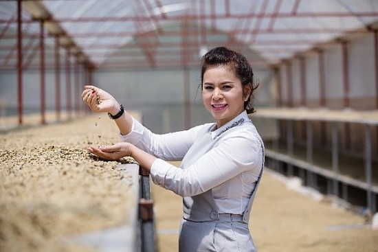 CEO Lê Hoàng Diệp Thảo-Người phụ nữ đứng sau thương hiệu “Vua cà phê Việt”