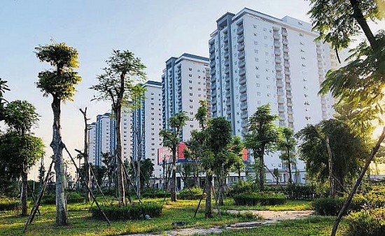 Hà Nội tạm dừng quyết định “đổi chủ” sử dụng đất tại Khu đô thị Thanh Hà