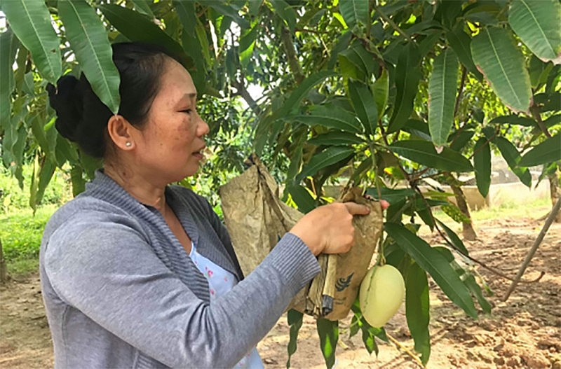 Giải pháp phát triển nông nghiệp công nghệ cao tại tỉnh Sơn La  Tạp chí  Quản lý nhà nước