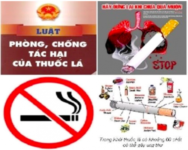 Phòng chống tác hại của thuốc lá