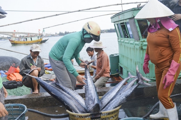 chống khai thác IUU