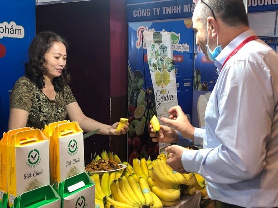 Lâm Đồng: Phát triển thương hiệu chuối Laba thành sản phẩm OCOP 5 sao