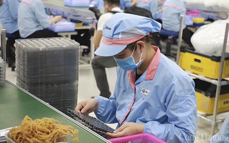 Nghệ An: Hơn 1.200 công nhân mất việc dịp cuối năm