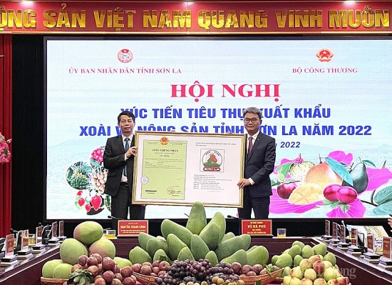“Quả ngọt” từ chính sách tái cơ cấu ngành nông nghiệp ở Sơn La